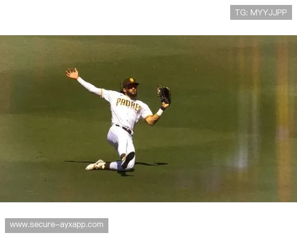 塔蒂斯 Jr. 外野全速救球补位成功